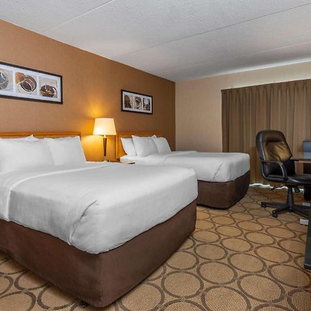 Comfort Inn Campbellton Exterior foto