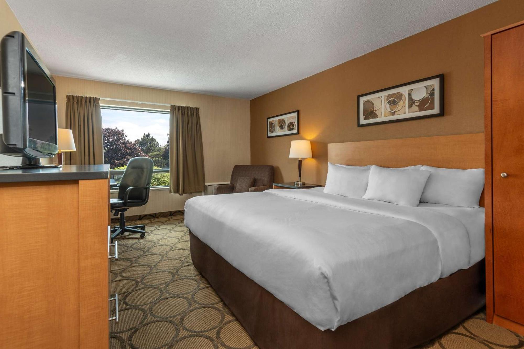 Comfort Inn Campbellton Exterior foto